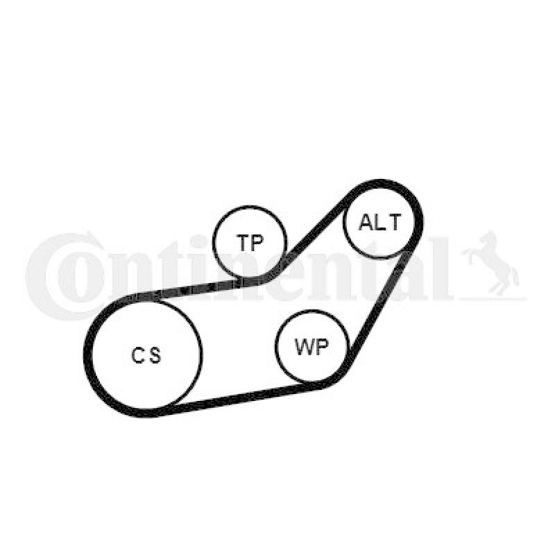 CONTINENTAL CTAM Water Pump + V-Ribbed Belt Set