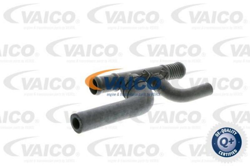 VAICO Hose, heat exchange heating Q+, original equipment manufacturer quality