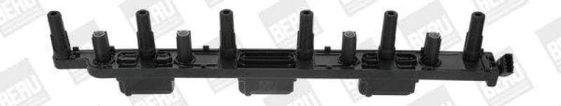 BorgWarner (BERU) Ignition Coil