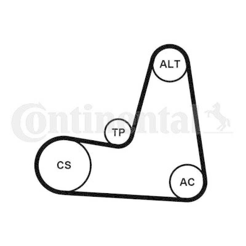 CONTINENTAL CTAM Keilrippenriemensatz