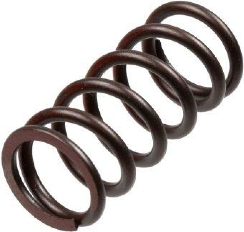 TRW Clutch Spring Set