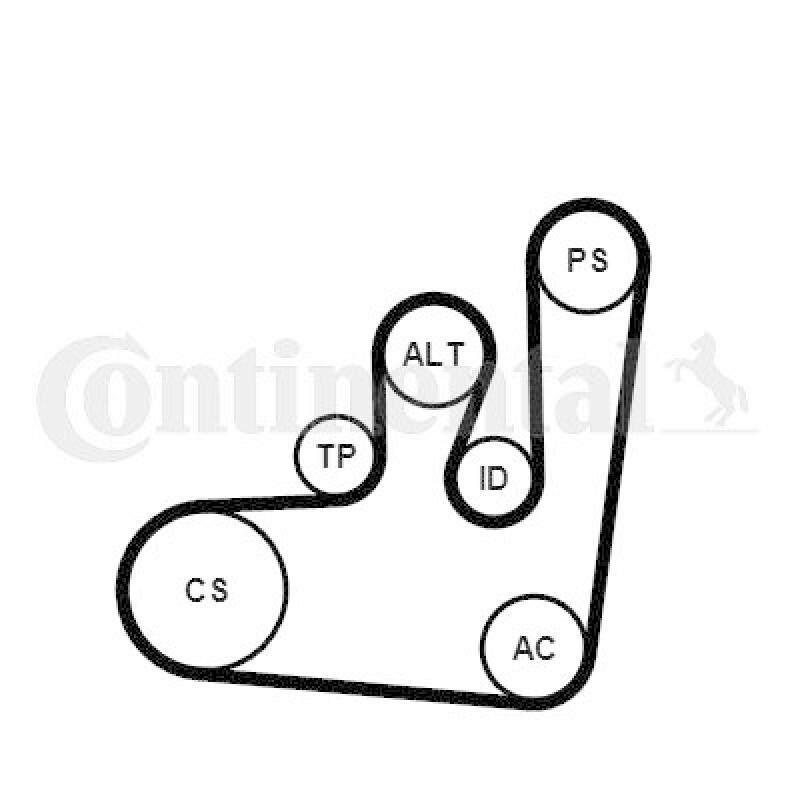 CONTINENTAL CTAM Wasserpumpe + Keilrippenriemensatz