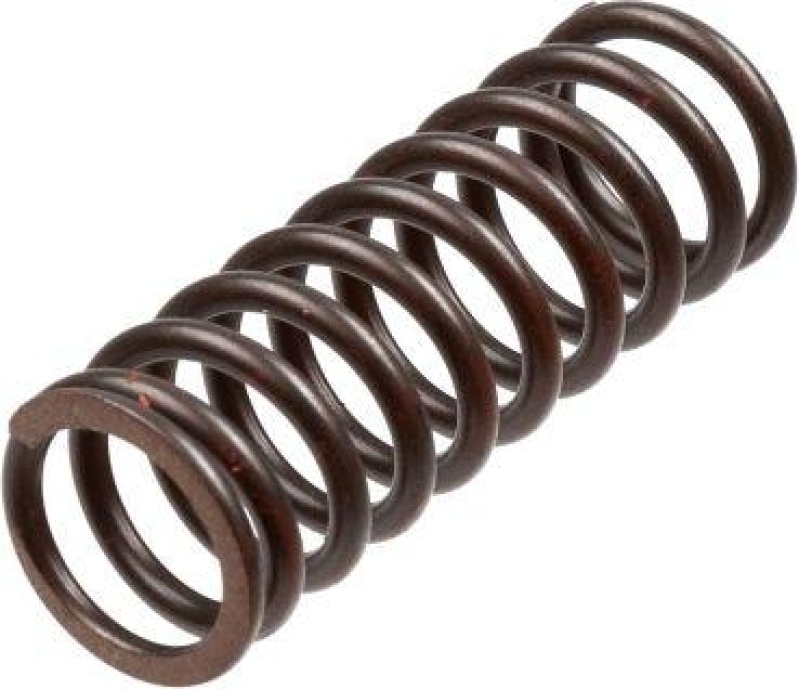 TRW Clutch Spring Set