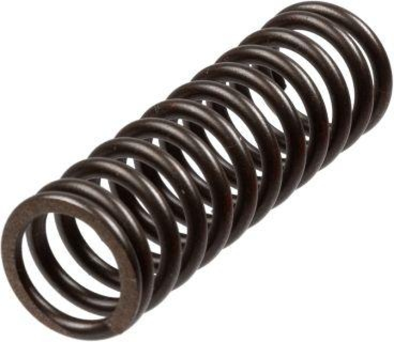 TRW Clutch Spring Set