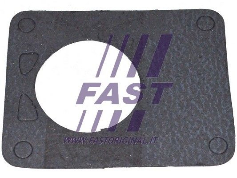 FAST Gasket, vacuum pump