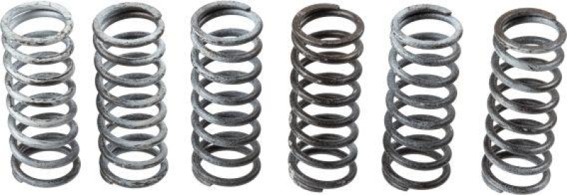 TRW Clutch Spring Set