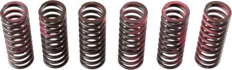 TRW Clutch Spring Set