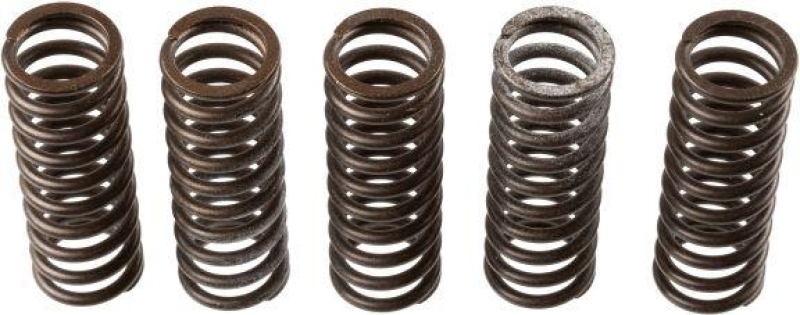 TRW Clutch Spring Set