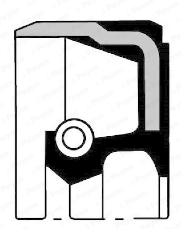 PAYEN Wellendichtring, Kurbelwelle