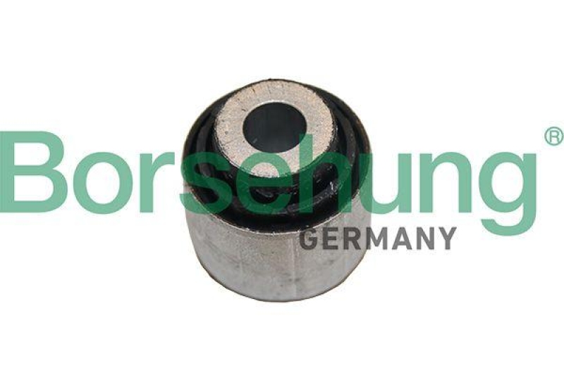 Borsehung Mounting, control/trailing arm