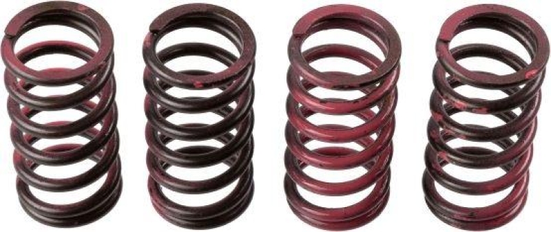 TRW Clutch Spring Set