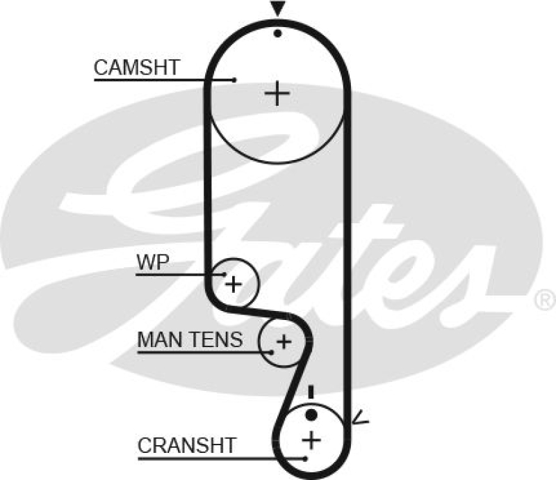 GATES Timing Belt PowerGrip®