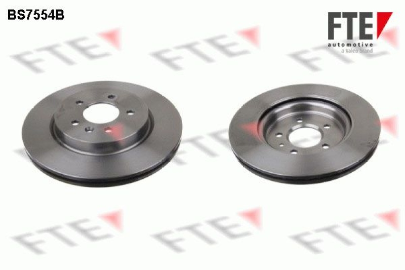 2x FTE Brake Disc COATED RANGE