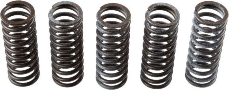 TRW Clutch Spring Set