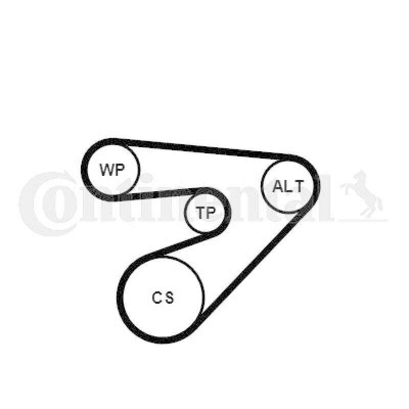 CONTINENTAL CTAM Water Pump + V-Ribbed Belt Set