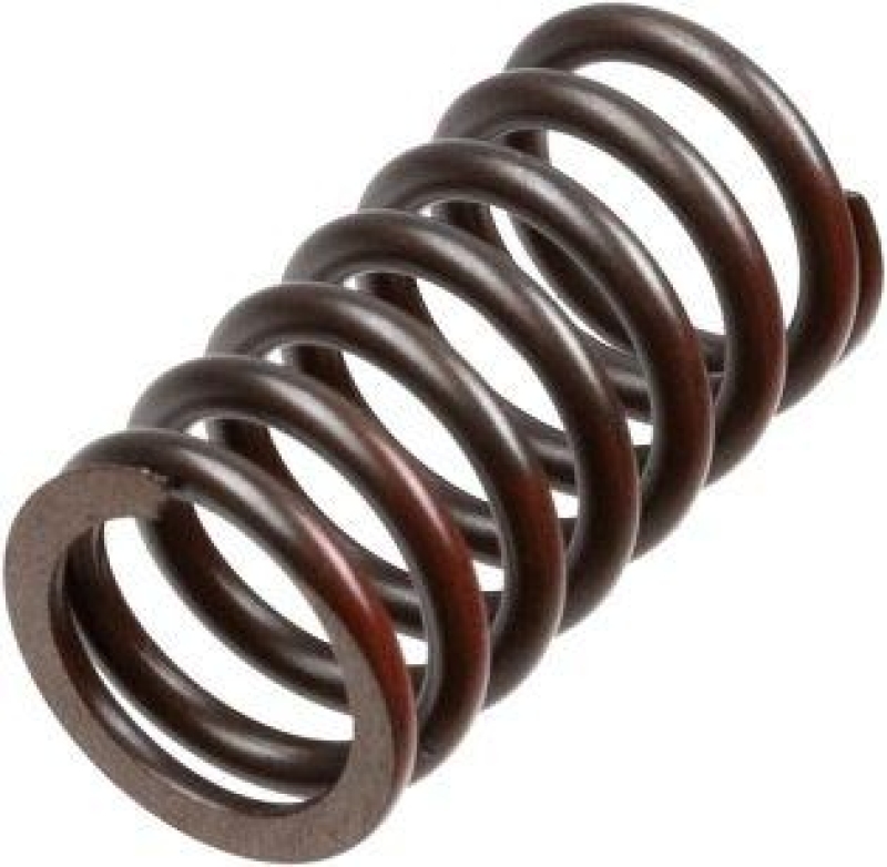 TRW Clutch Spring Set