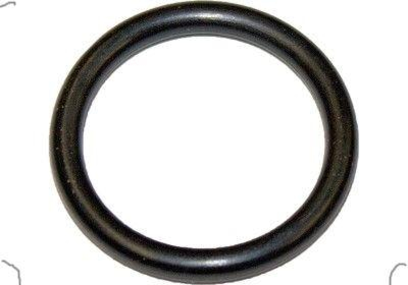 VAN WEZEL Seal, coolant tube