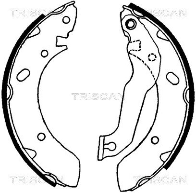 TRISCAN Brake Shoe Set