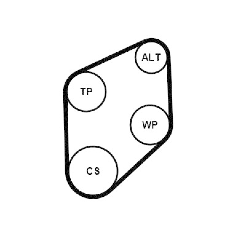 CONTINENTAL CTAM Keilrippenriemensatz