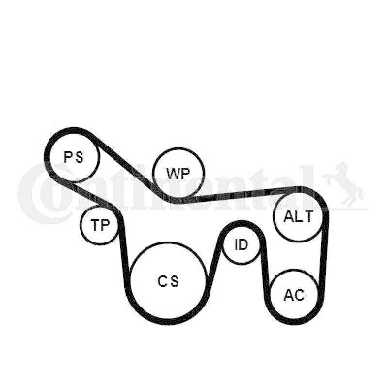 CONTINENTAL CTAM Water Pump + V-Ribbed Belt Set