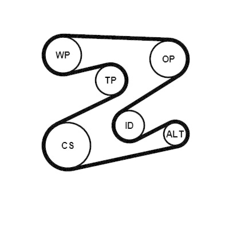 CONTINENTAL CTAM Keilrippenriemensatz