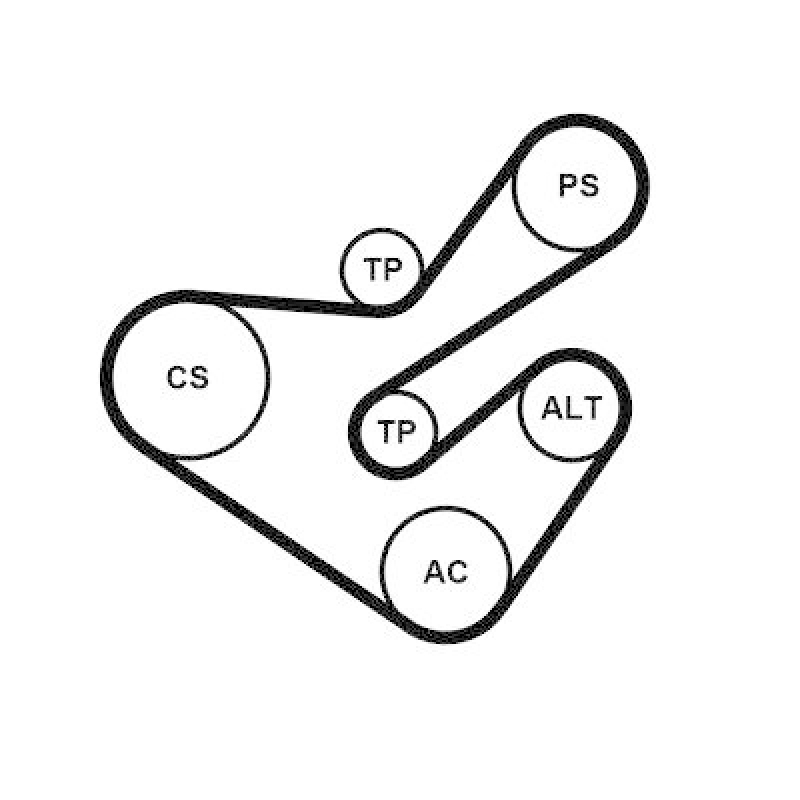 CONTINENTAL CTAM Keilrippenriemensatz