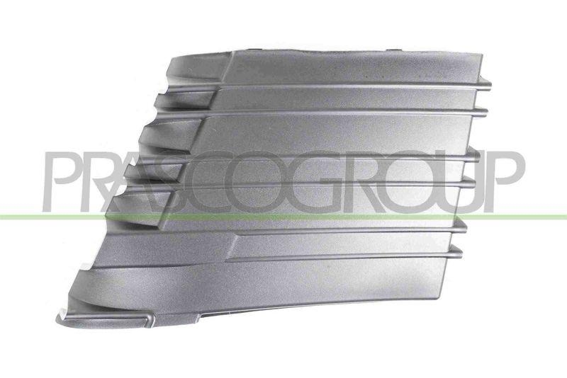 PRASCO Cover, radiator grille