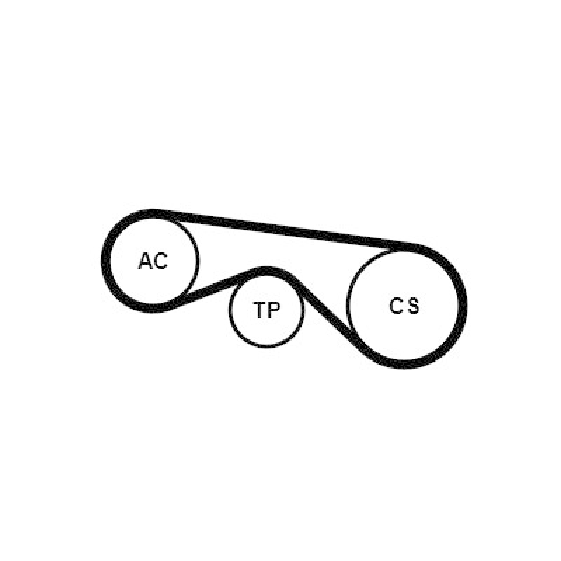CONTINENTAL CTAM Keilrippenriemensatz
