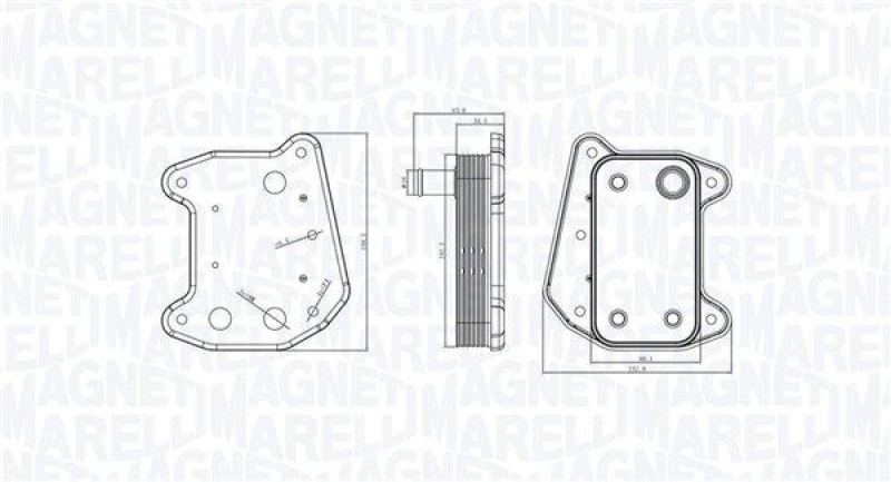 MAGNETI MARELLI Ölkühler, Motoröl