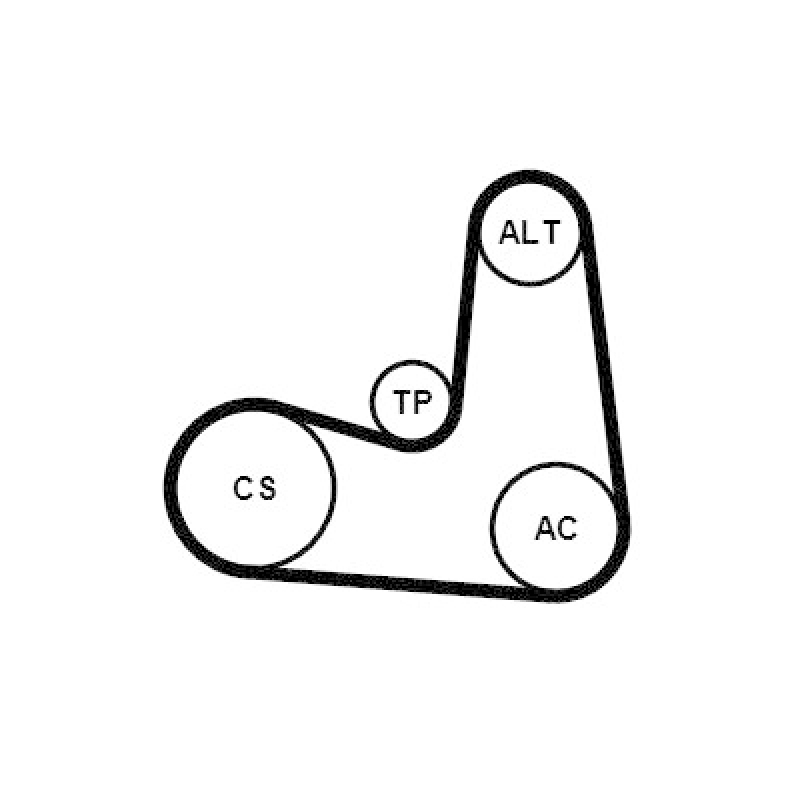 CONTINENTAL CTAM Keilrippenriemensatz