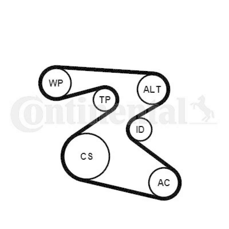 CONTINENTAL CTAM Water Pump + V-Ribbed Belt Kit