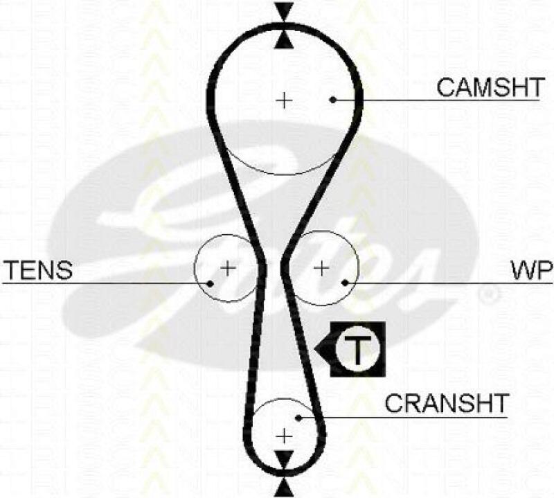 TRISCAN Timing Belt