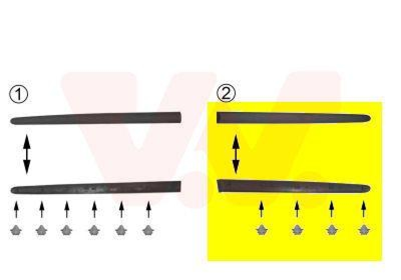 VAN WEZEL Trim/Protective Strip, door