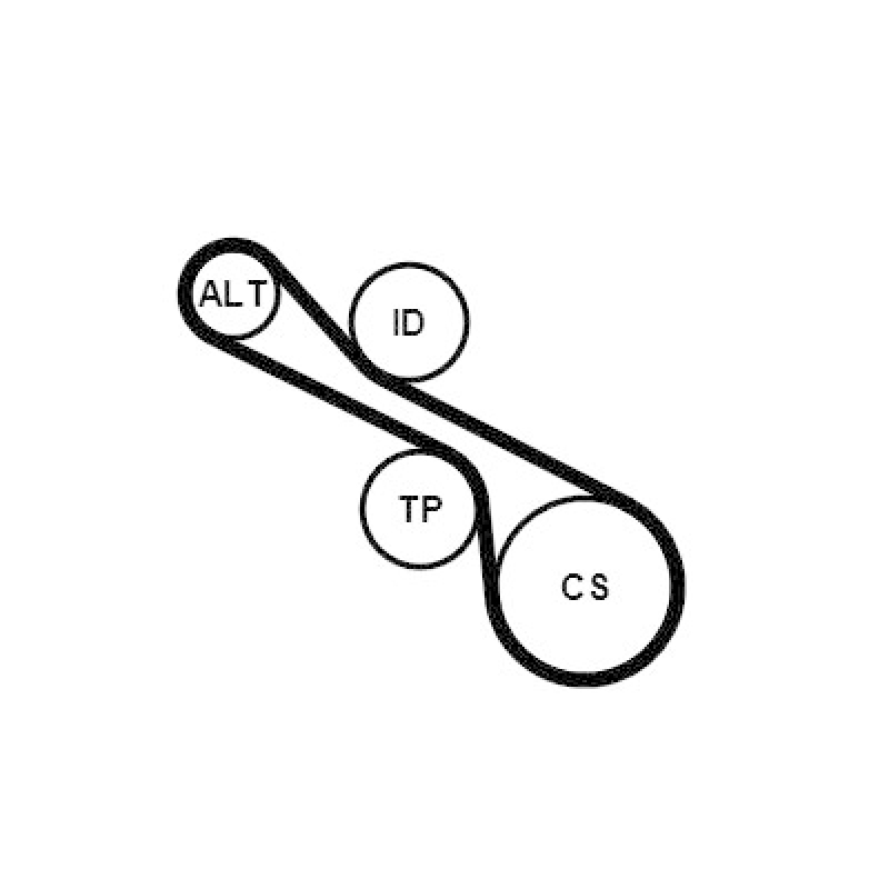 CONTINENTAL CTAM Keilrippenriemensatz