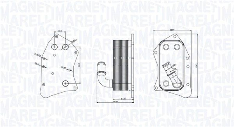 MAGNETI MARELLI Ölkühler, Motoröl