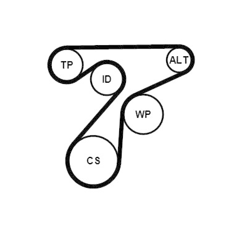 CONTINENTAL CTAM Keilrippenriemensatz