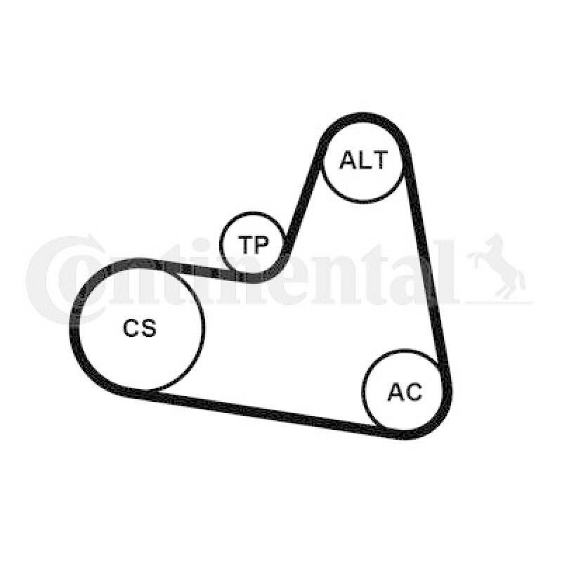 CONTINENTAL CTAM V-Ribbed Belt Set