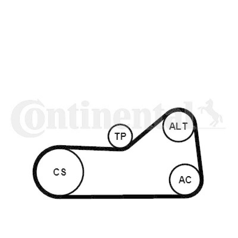 CONTINENTAL CTAM Water Pump + V-Ribbed Belt Set