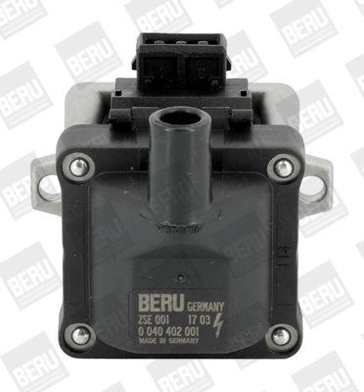 BorgWarner (BERU) Ignition Coil