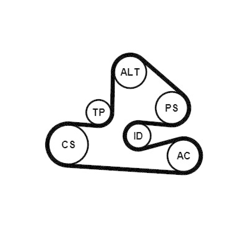 CONTINENTAL CTAM Keilrippenriemensatz