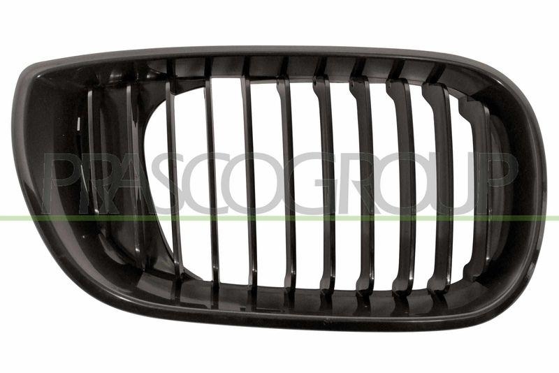 Radiator Grille