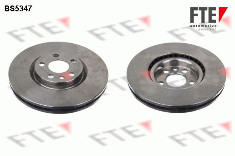 2x FTE Brake Disc