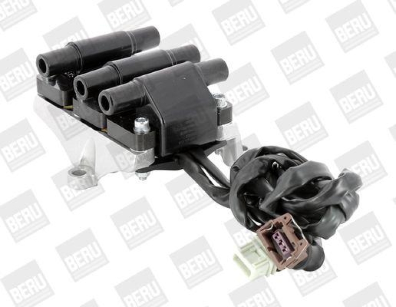 BorgWarner (BERU) Ignition Coil