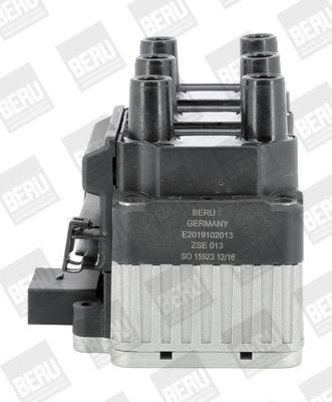 BorgWarner (BERU) Ignition Coil