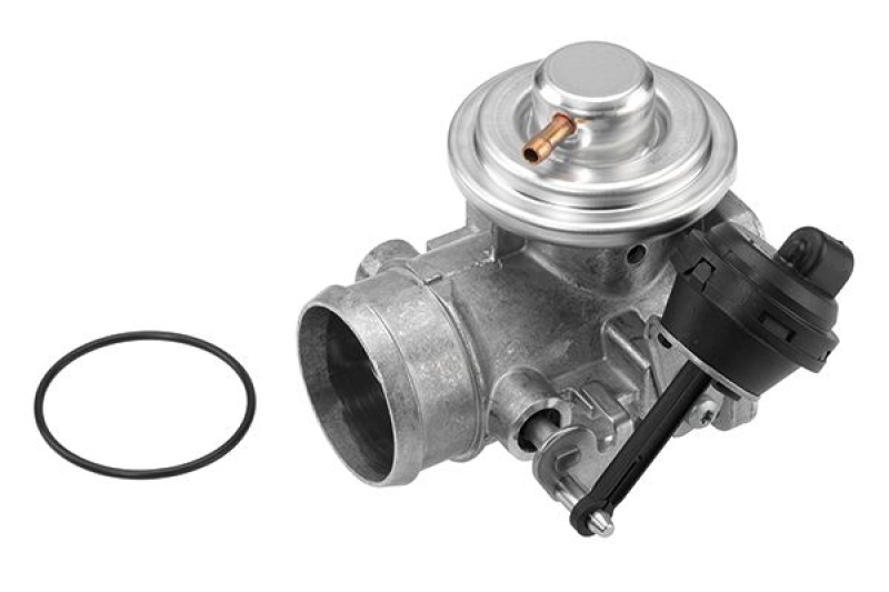 BorgWarner (Wahler) AGR-Ventil