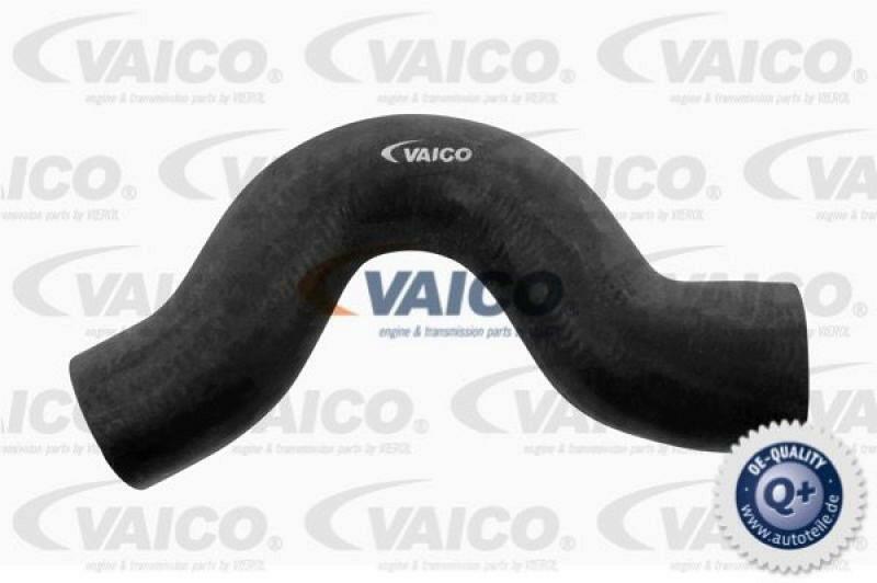 Radiator Hose Q+, original equipment manufacturer quality