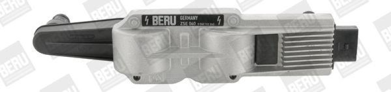 BorgWarner (BERU) Ignition Coil