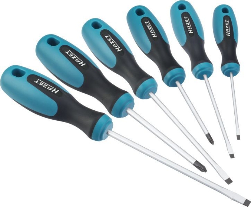 HAZET Screwdriver Set