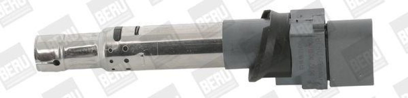 BorgWarner (BERU) Ignition Coil