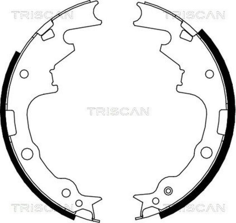 TRISCAN Brake Shoe Set